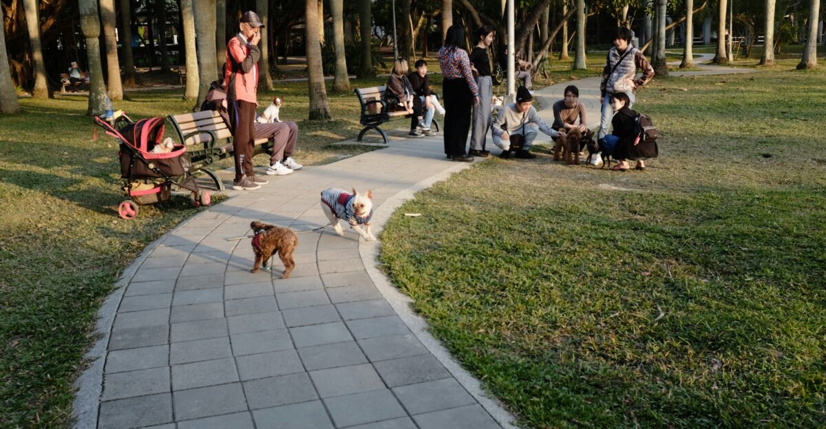 people sitting on green grass field during daytime