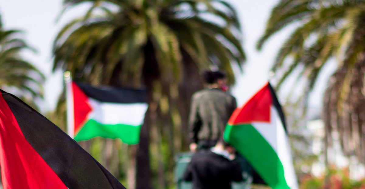 people holding flags during daytime