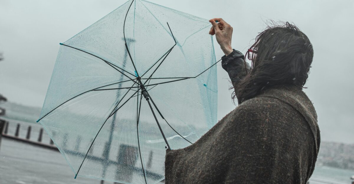 woman in black jacket holding umbrella