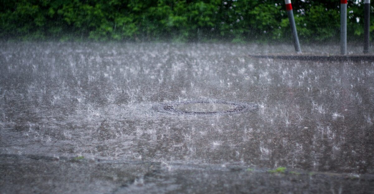 water droplets on gray concrete road