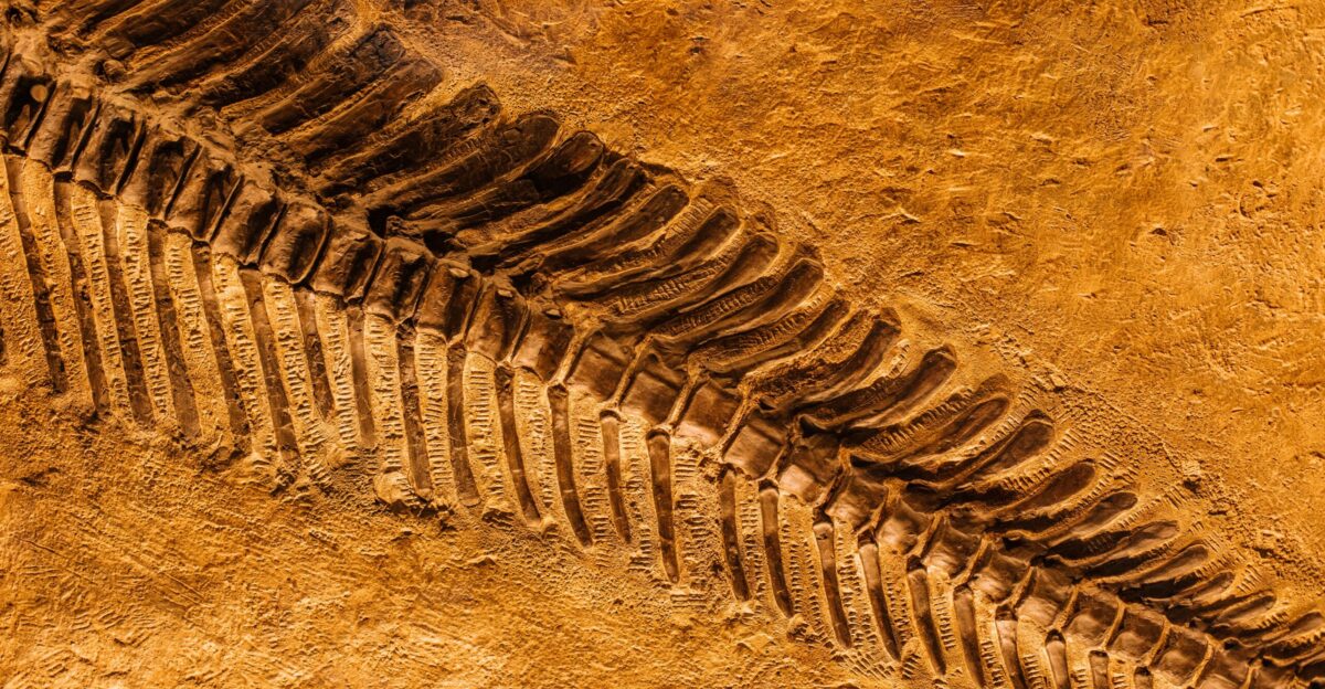 brown sand with water during daytime