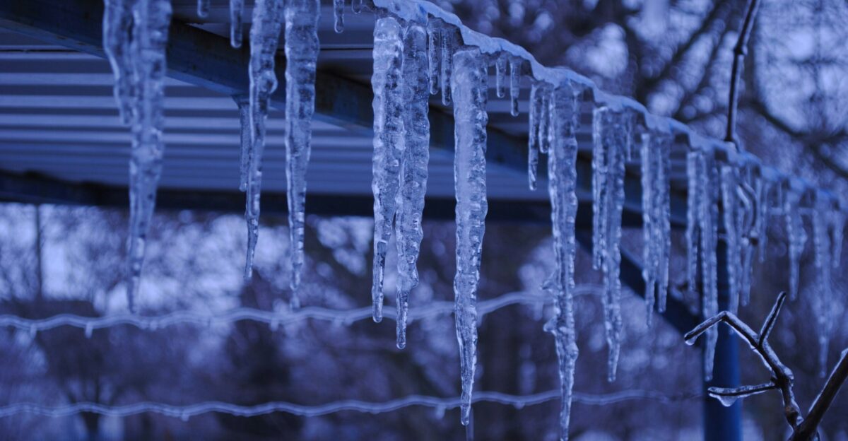 icicles hanging from a fence in the winter