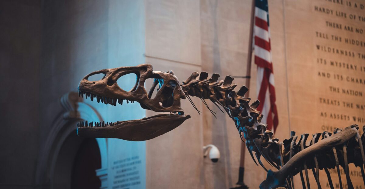 a dinosaur skeleton in a museum with a flag in the background