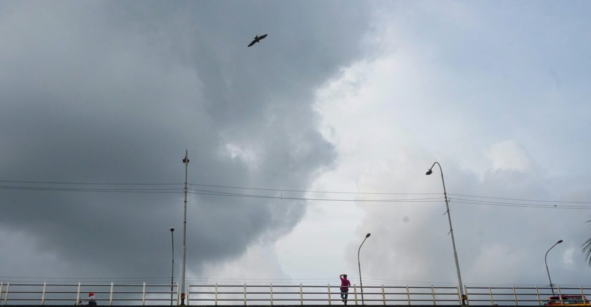 a bird flying over a bridge