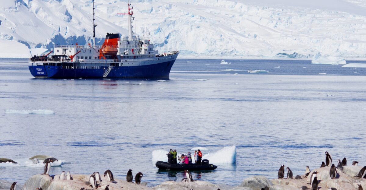 a group of penguins and a boat in a body of water
