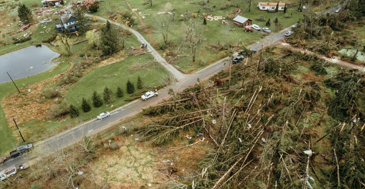 an aerial view of a neighborhood with a lot of trees