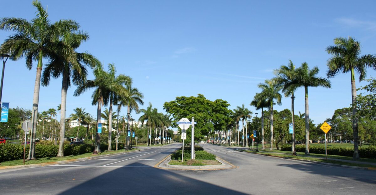 a street lined with palm trees and street signs