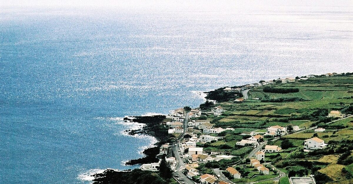 a scenic view of the ocean from a hill
