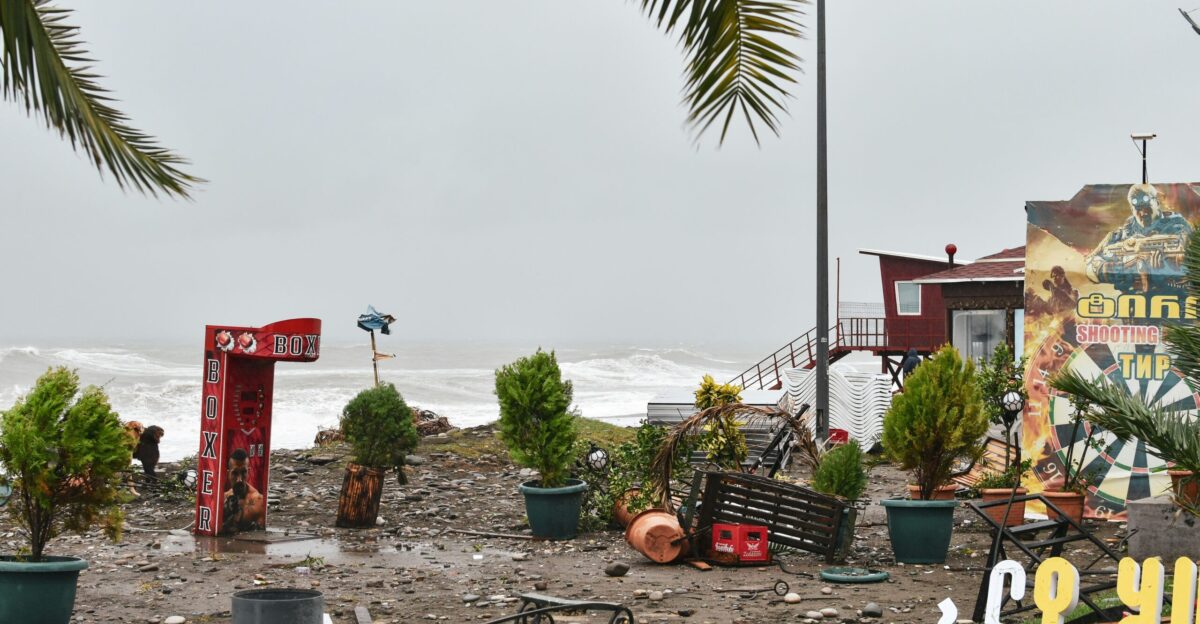 a bunch of plants that are sitting on the ground