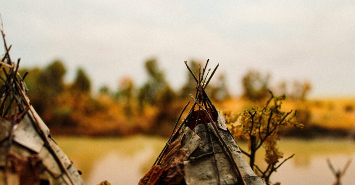 a group of teepee houses sitting next to a lake