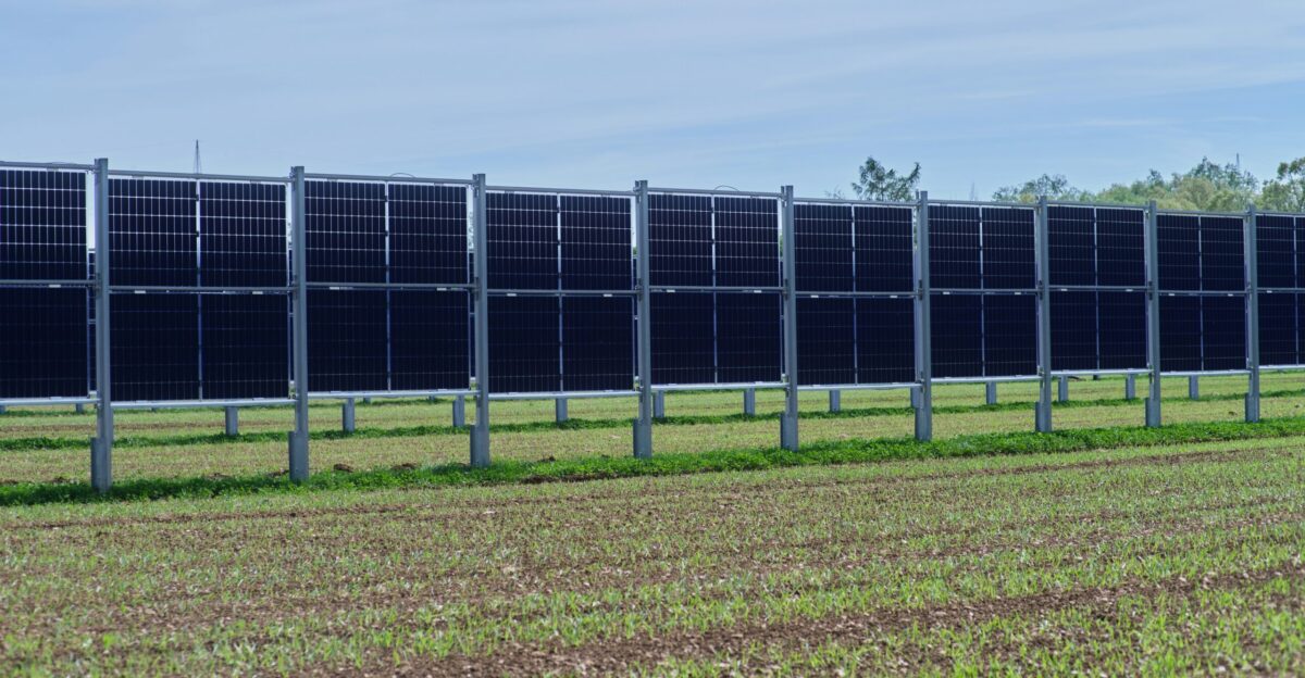 a row of solar panels in a field