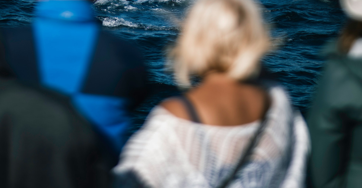 A group of people watching a whale in the ocean
