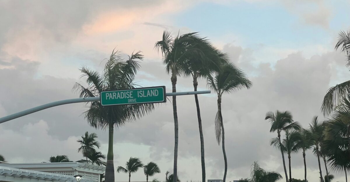 A street with palm trees and a street sign