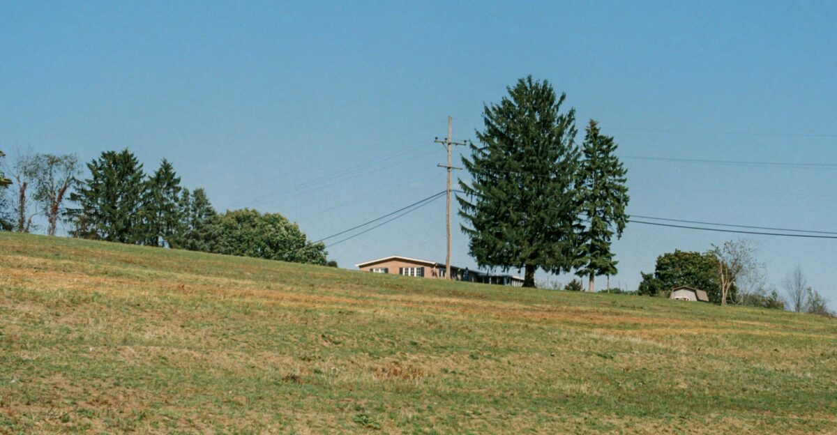 A person is flying a kite in a field