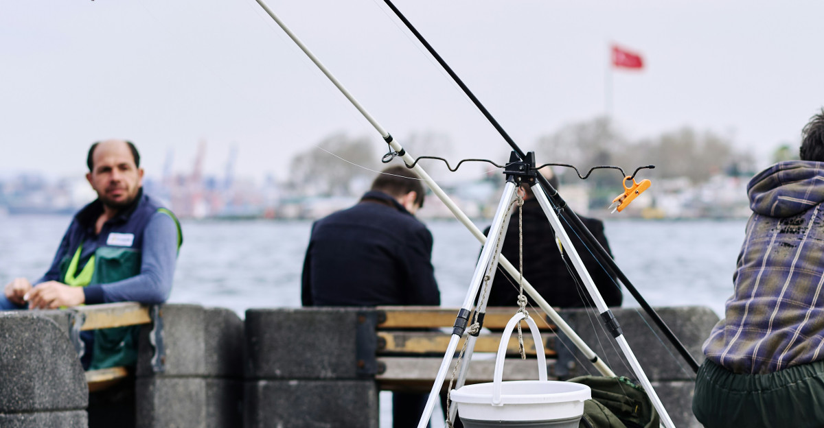 Cats and fishermen patiently wait by the water