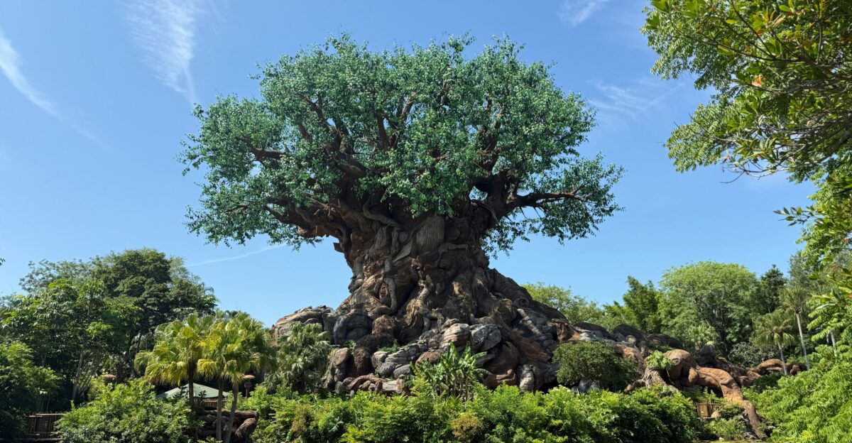 The tree of life at disney s animal kingdom