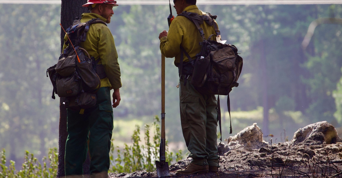 Firefighters survey a burned landscape
