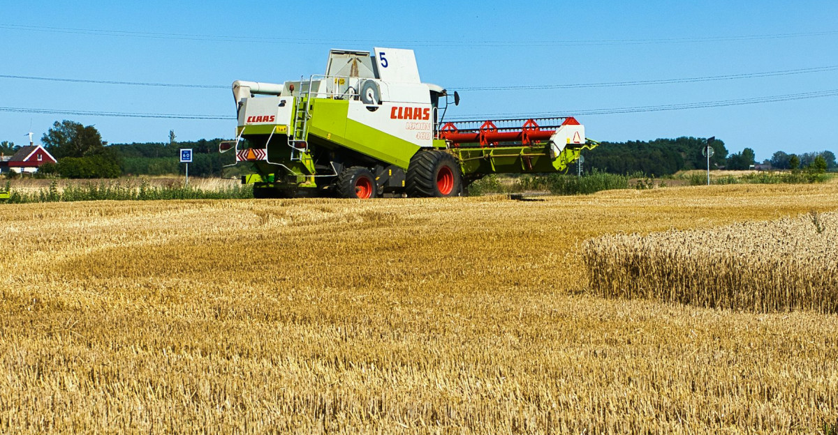 Combine harvester working in a golden wheat field photo - Free