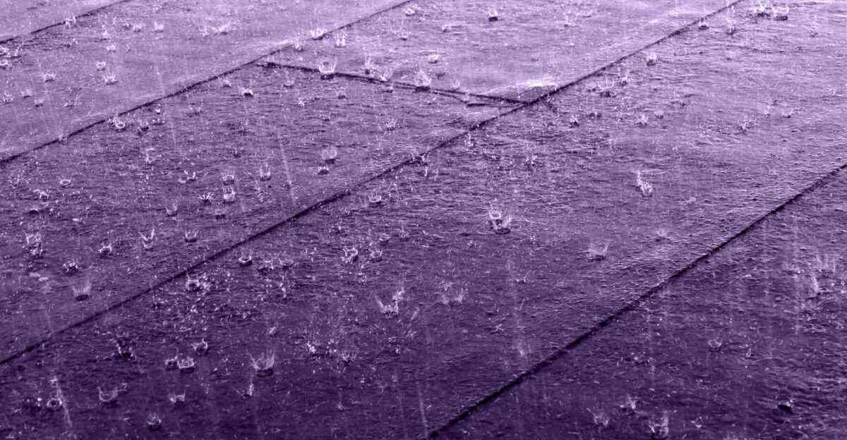 Hard rain on a roof covered with felt and tar paper in G seberg Lysekil Municipality Sweden The black and white version has been altered using a monochrome purple filter The color chosen is the Pantone color Love symbol 2 that the Pantone Color Institute introduced to honor Prince musician