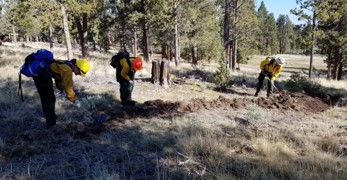Firefighters dig line prior to ignition of a prescribed fire at the Rock Springs Ranch Prescribed fires help our forests grasslands and other vegetation stay healthy They create more diversity and reduce crowded brushes that fuel wildfire Through the Fire Learning Network a joint project with The Nature Conservancy Department of the Interior and Forest Service with participants from a variety of agencies and cooperators students gather to learn from each other and share expertise in prescribed fire management Photo taken by Lisa McNee BLM on May 2 2018