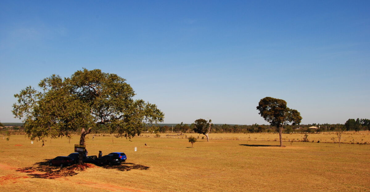 Brazilian savanna Mato Grosso do Sul MS state