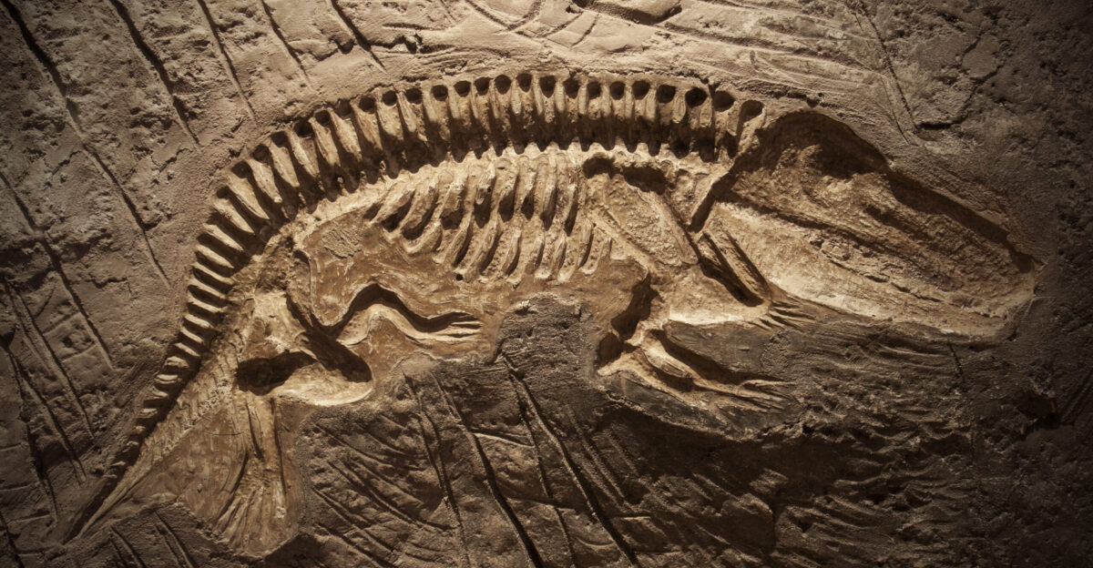 Science of Jurassic Park Can an Extinct Animal be Recreated from