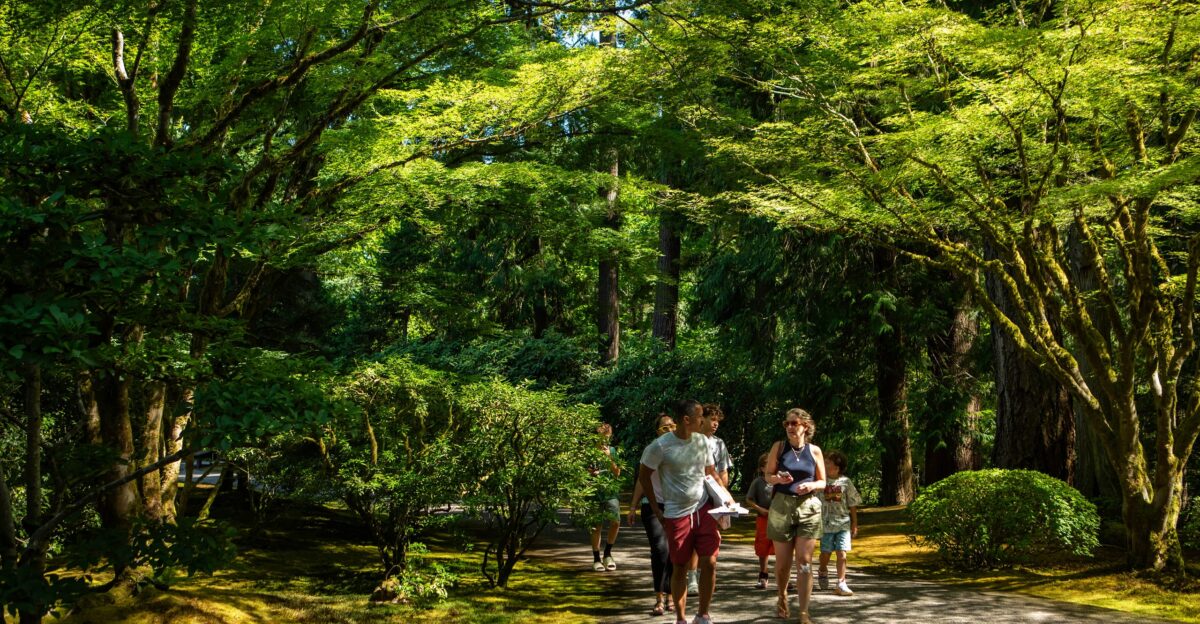 Forest Bathing to Better our Health - Portland Japanese Garden