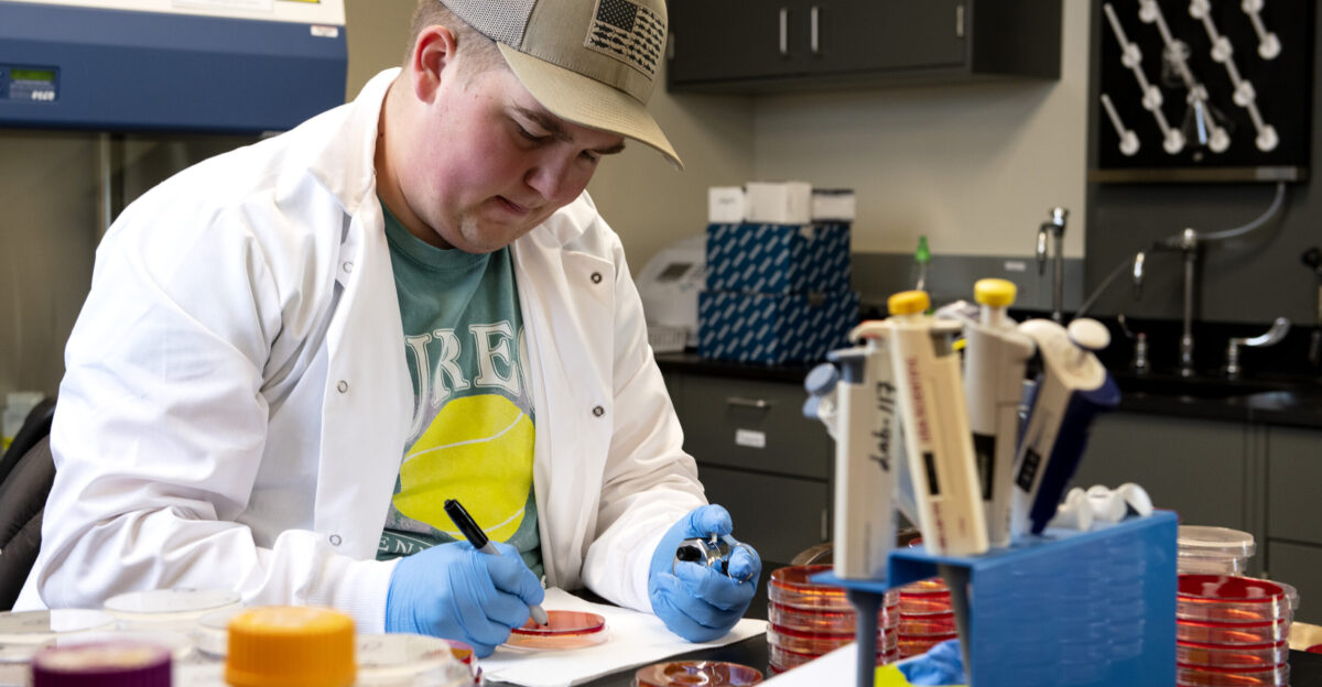 Taylor Brandt a food science undergraduate student counts bacterial colonies in sample plates The lab team was testing the effectiveness of ozone-based sanitizing of foods U of A System Division of Agriculture photo by Fred Miller