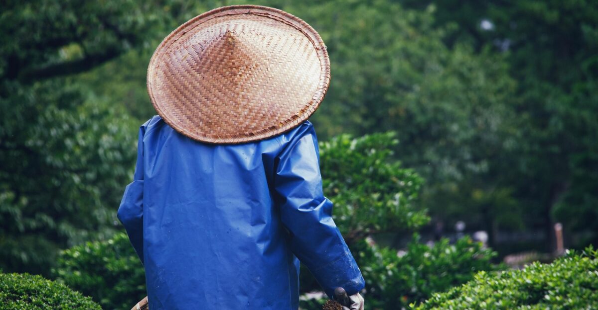yard nature park gardener gardening hat asia nature gardening gardening gardening gardening gardening hat asia asia