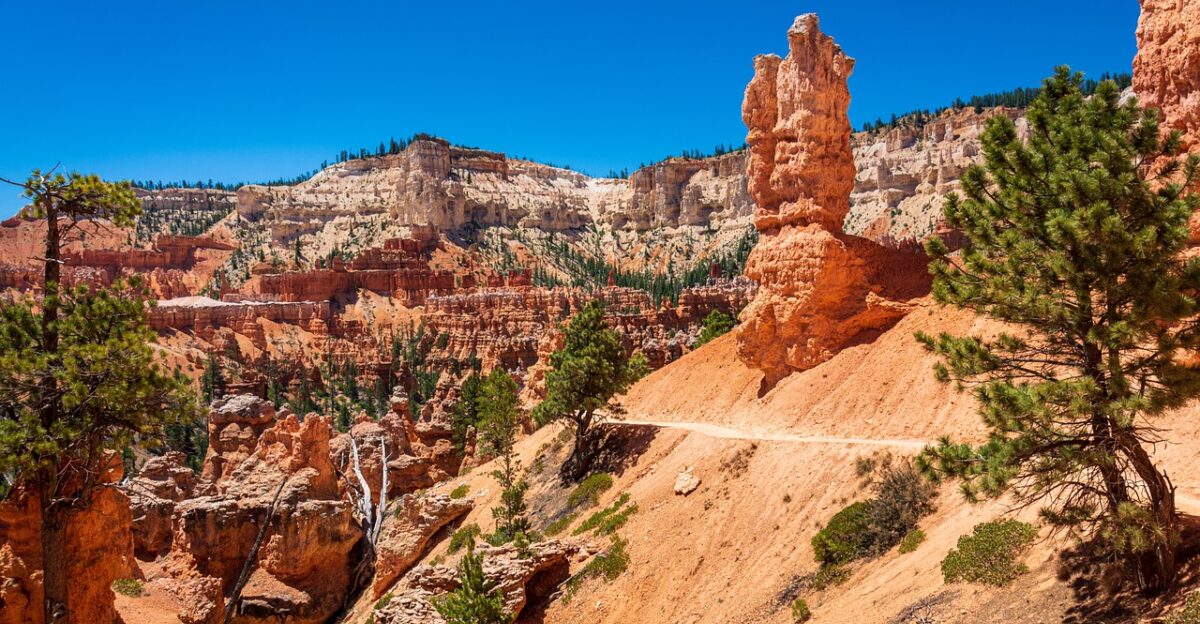 bryce canyon utah usa national park rock landscape red sandstone erosion trees nature scenic america orange to travel park wilderness path panorama rock pillar hike summer heat heaven bryce bryce canyon bryce canyon bryce canyon bryce canyon bryce canyon rock pillar rock pillar rock pillar