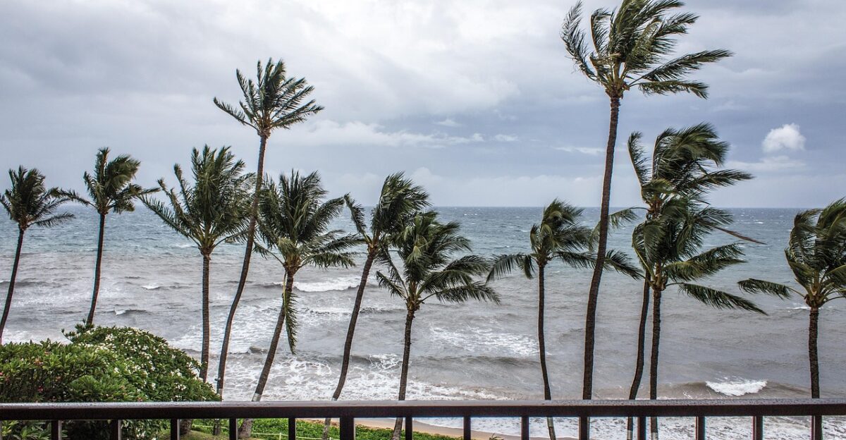 palmer tropical storm nature storm sea blown grey