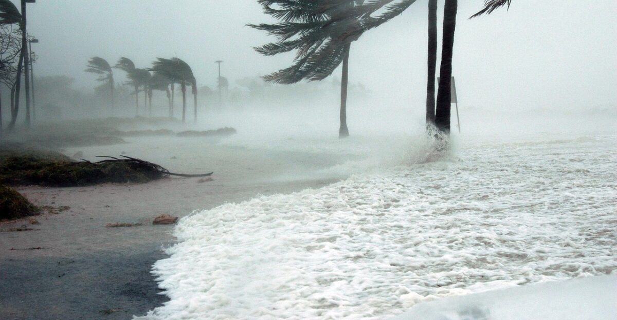 key west florida nature hurricane dennis storm surge water raining wind blowing dangerous sea ocean palm trees beach weather