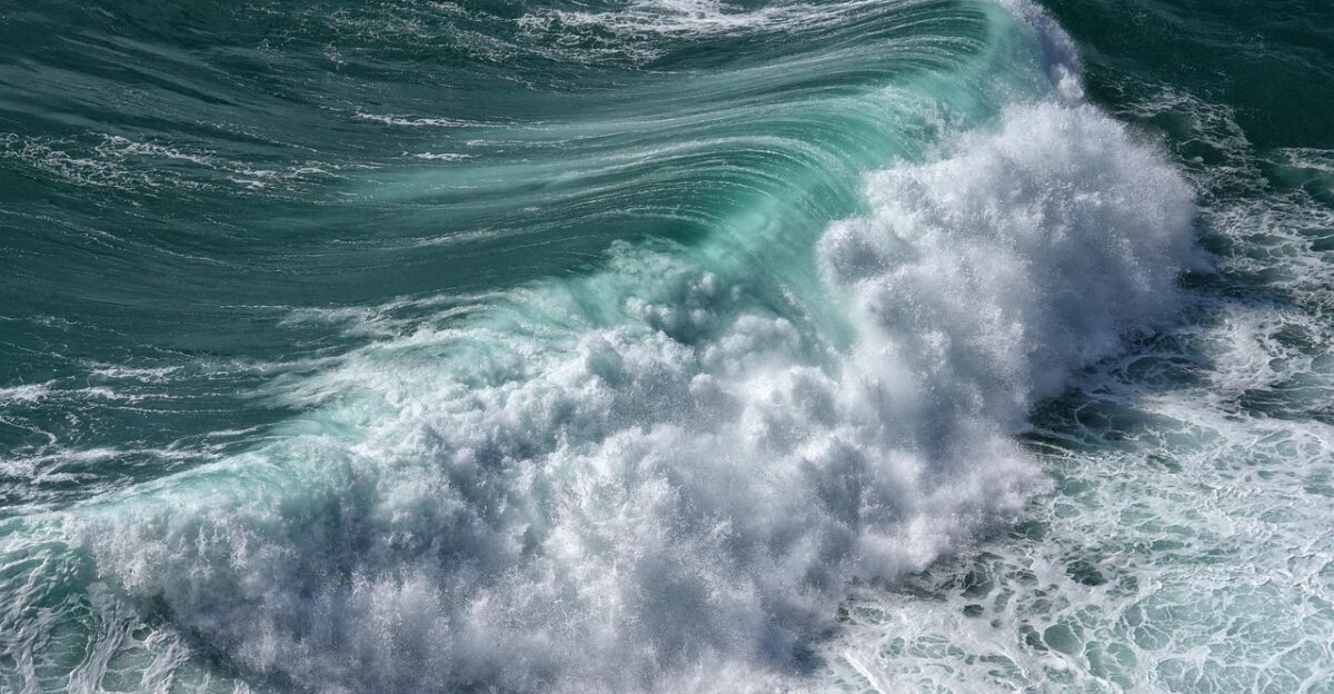 wave surf nature sea water coast ocean