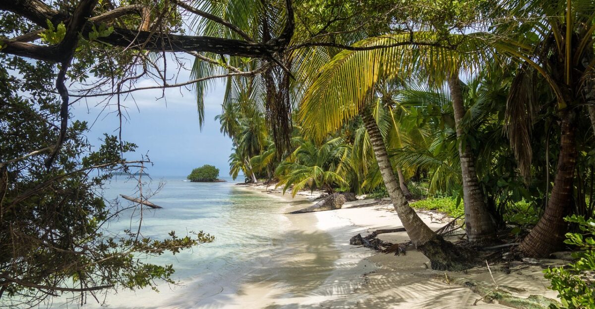 beach san blas islands panama island paradise nature sea caribbean water sand jungle archipelago vacation