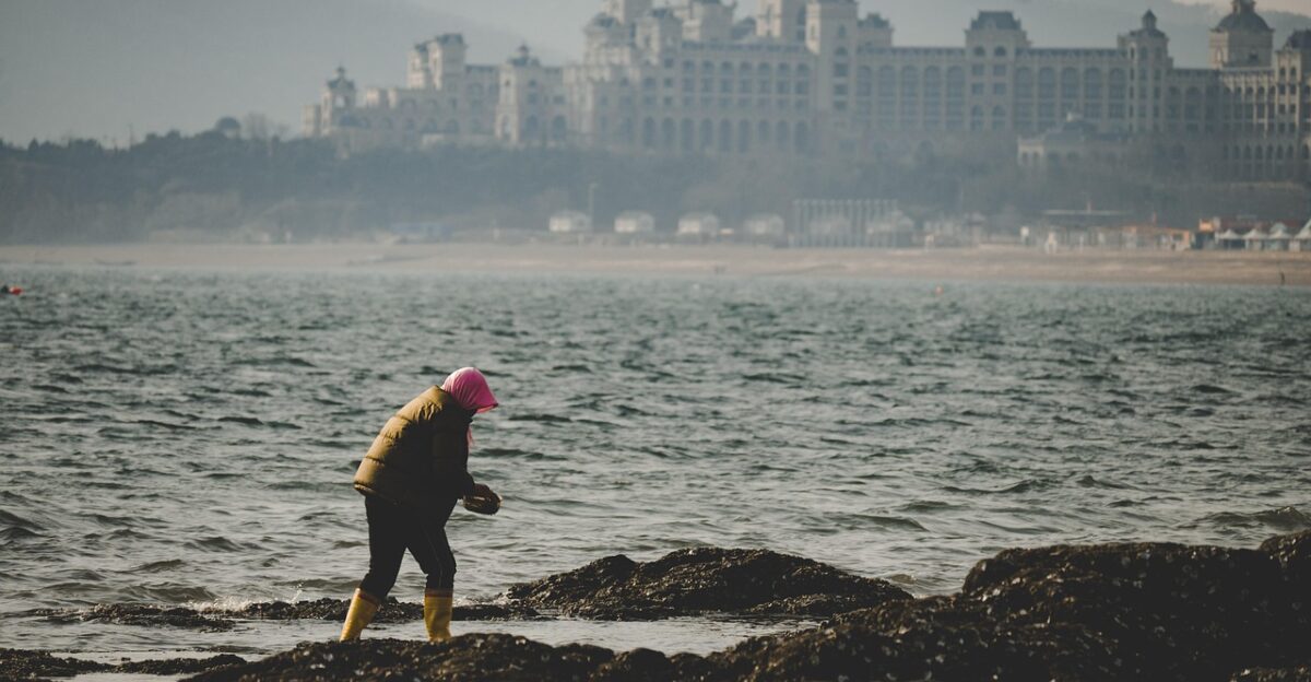 marine to clean up city view artisan labor marine marine city view city view city view city view city view labor