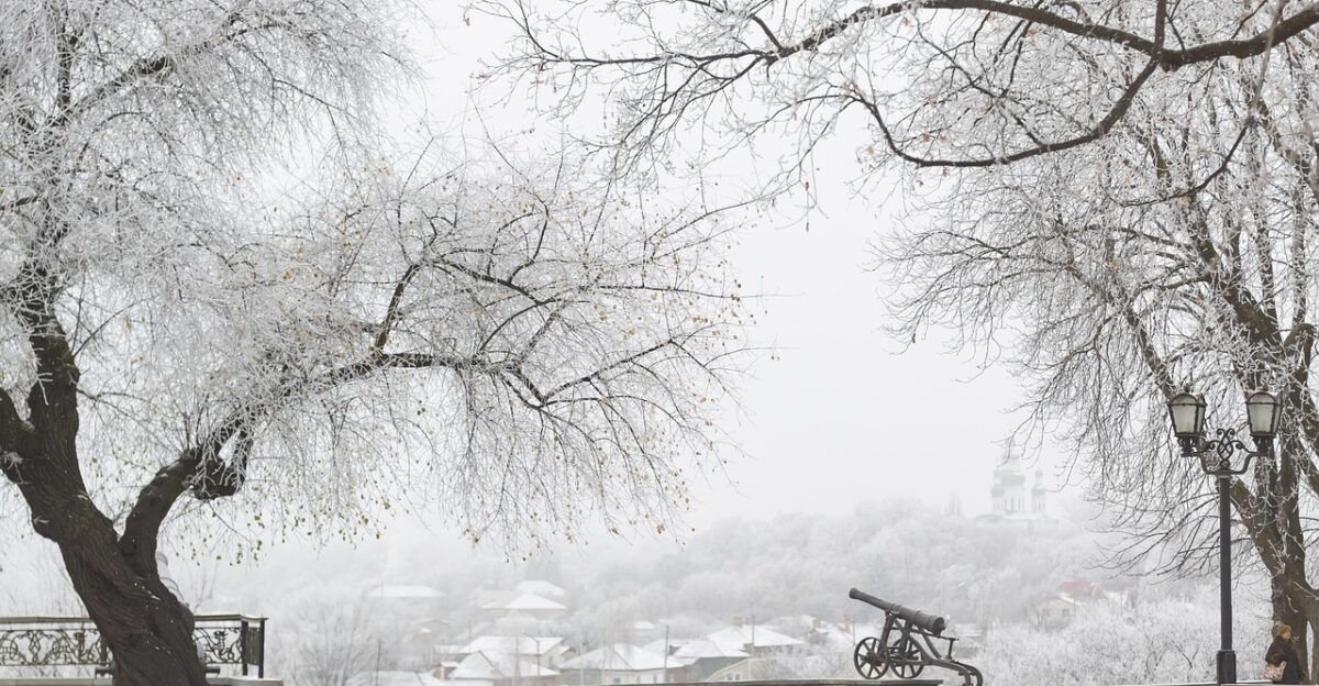 cannon winter snow cold white panorama silence history monument nature ancient weapons ukraine