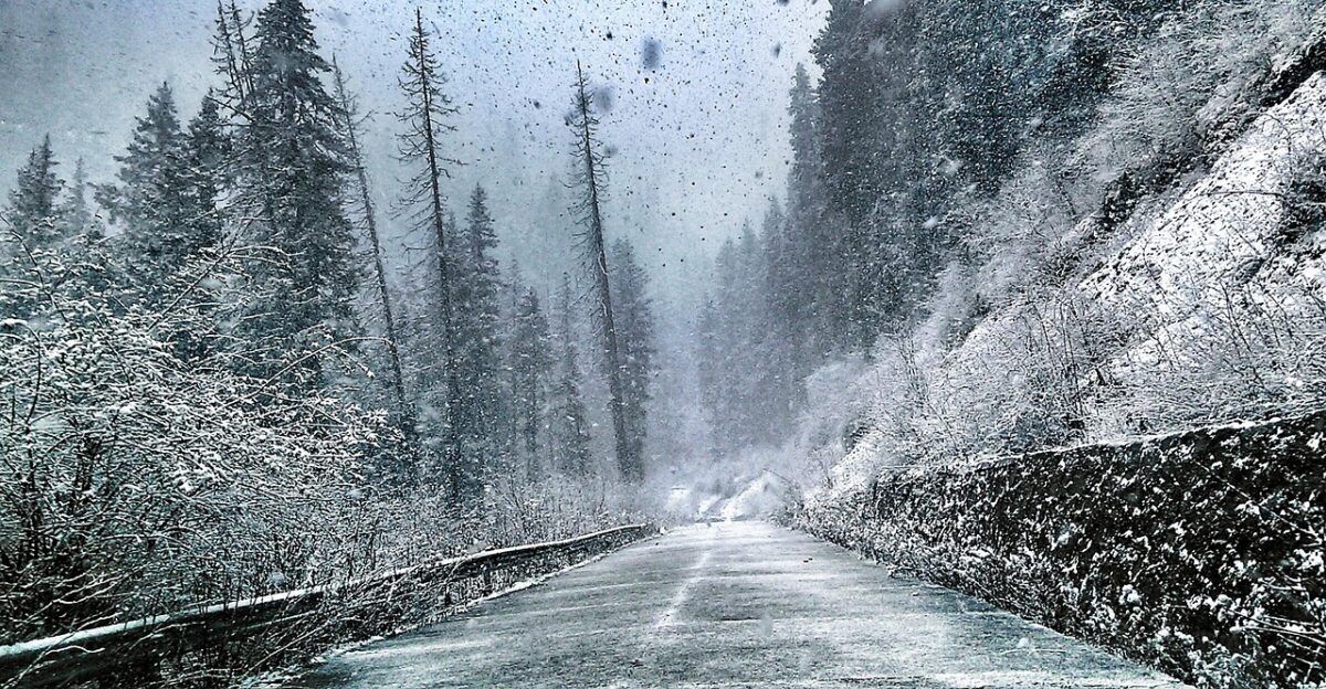 winter heavy snow nature the way snow