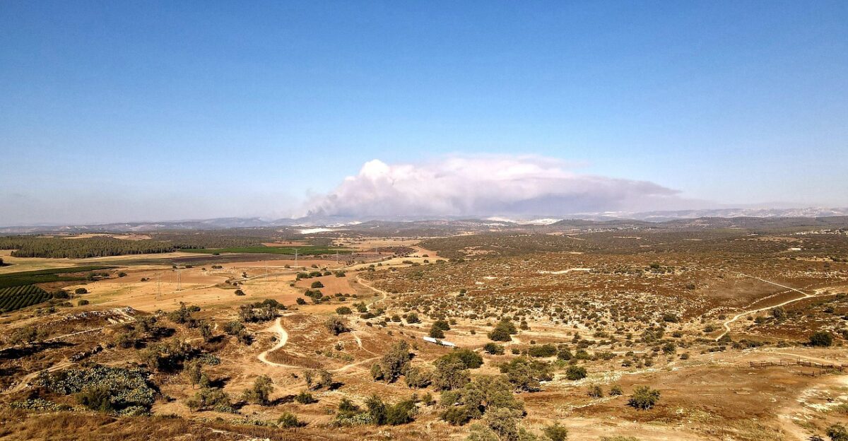 bushfire wildfire judean hills jerusalem israel smoke landscape bushfire bushfire bushfire wildfire wildfire wildfire judean hills jerusalem jerusalem jerusalem israel israel israel israel israel