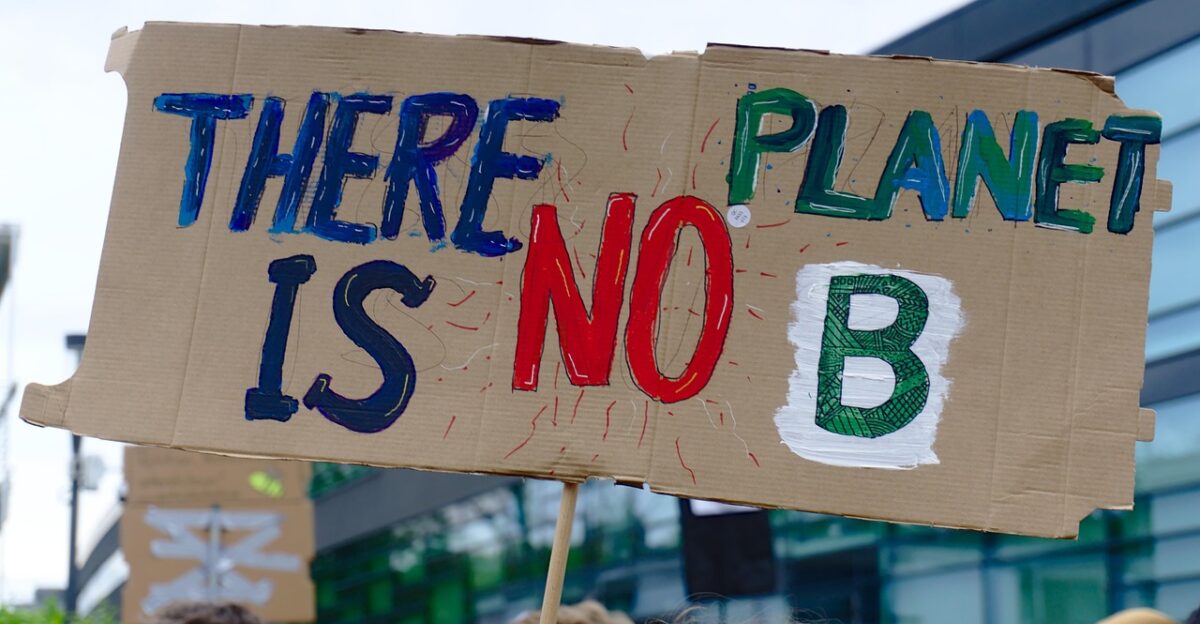 fridays for future climate strike demonstration school strike move students protest student movement climate protection environmental protection climate change sign strike biodiversity types of die climate strike climate strike protest climate change climate change climate change climate change climate change