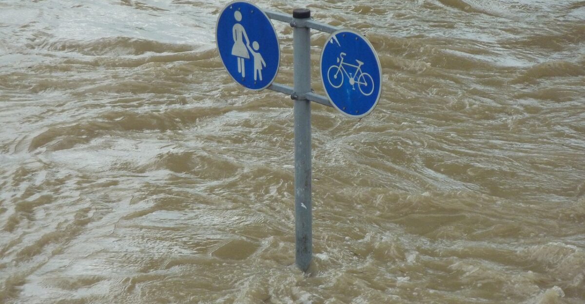 flood sign downfall water flooding flooded environment catastrophe pedestrian cyclist danube natural disaster environmental protection storm danube bank riverbank nature force of nature climate protection water level flow riverside flood of the century civil protection climate change flood disaster earth day