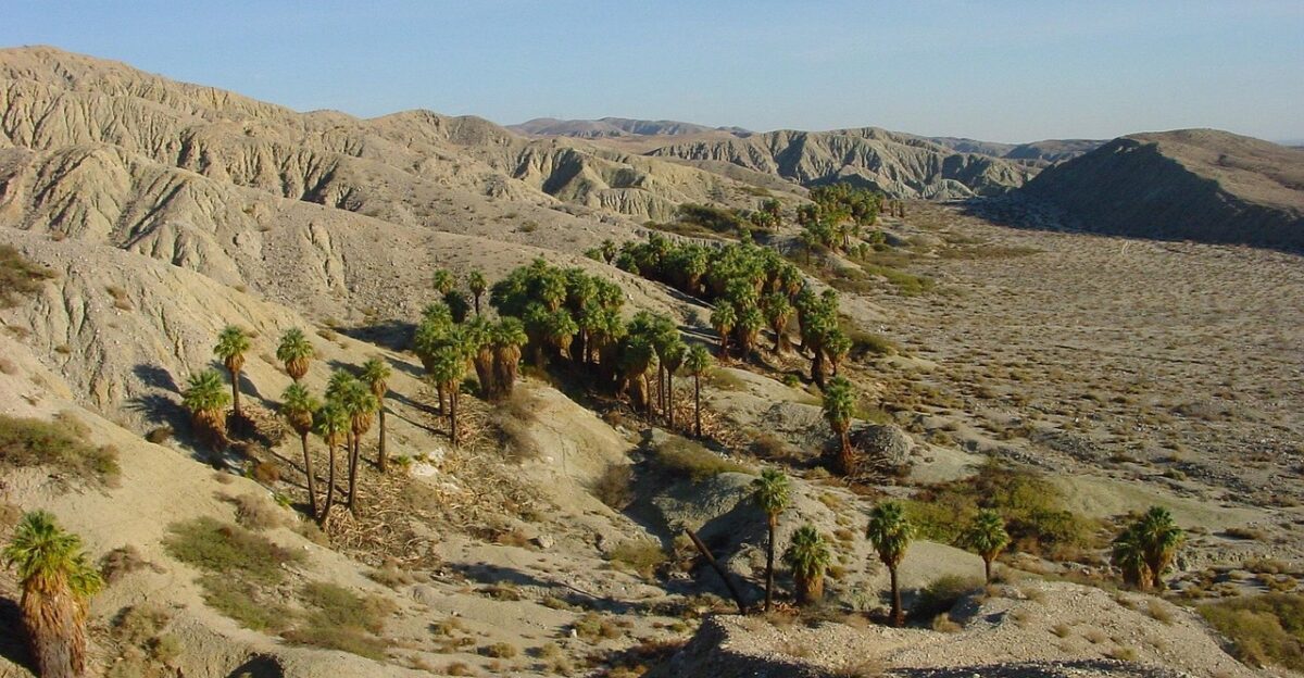 coachella valley california sky clouds landscape desert nature outside barren palms palm trees mountains rocks coachella valley coachella valley coachella valley coachella valley coachella valley