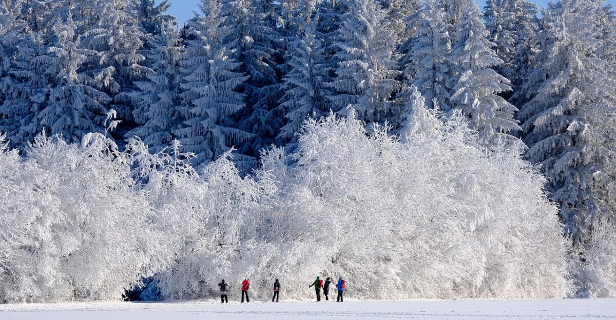 winter nature trees snow cold frost outdoors season landscape winter magic winter landscape winter paradise winter wonderland people winter winter winter winter winter snow snow winter landscape winter wonderland winter wonderland