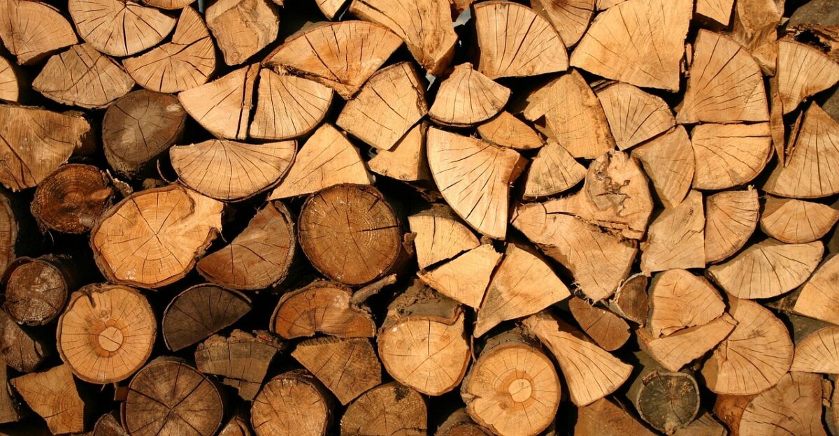 wood logs bole pieces of timber woodpile wooden timber forestry texture deforestation material wooden logs lumber trunks stack wood wood wood wood wood logs timber lumber