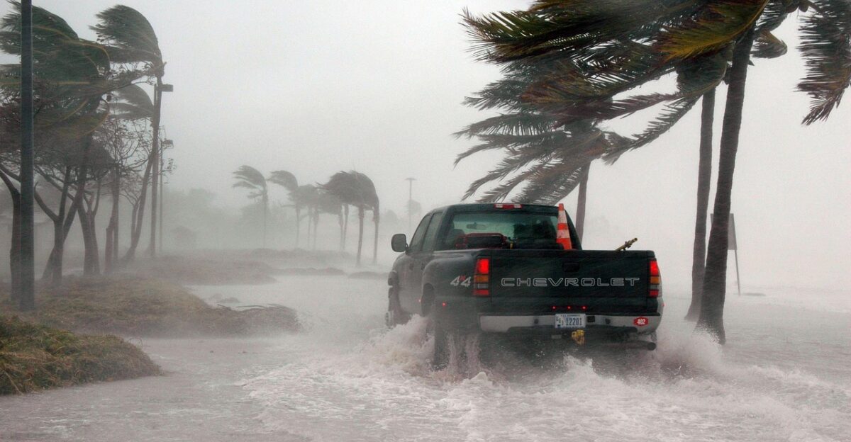 key west florida hurricane hurricane dennis weather storm surge nature stormy wind dangerous truck water sea ocean palm trees outside flooded earth day