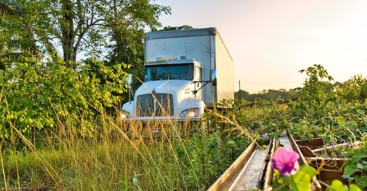trucking truck belize transportation landscape morning grass nature kenworth