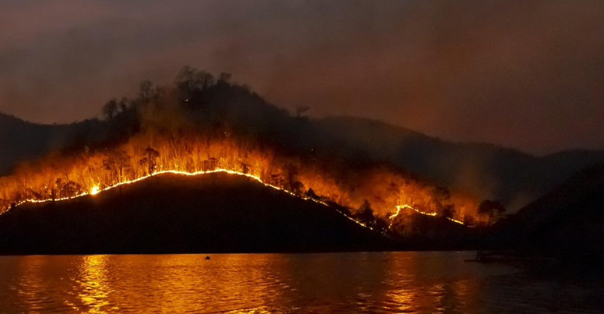 wildfire, bushfire, fire, nature, forest, emergency