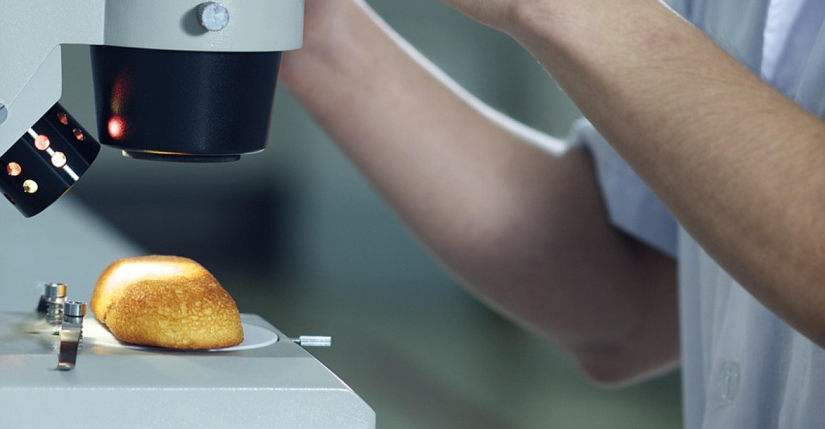 cake microscope man inspection research inspection inspection inspection inspection inspection