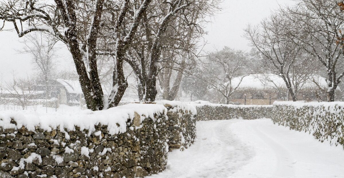 heavy snow winter snowfall village nature tree snow white weather heavy snow heavy snow heavy snow heavy snow heavy snow winter