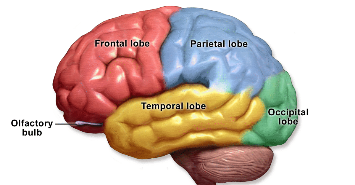 What is Frontotemporal Dementia Cambridge Centre for