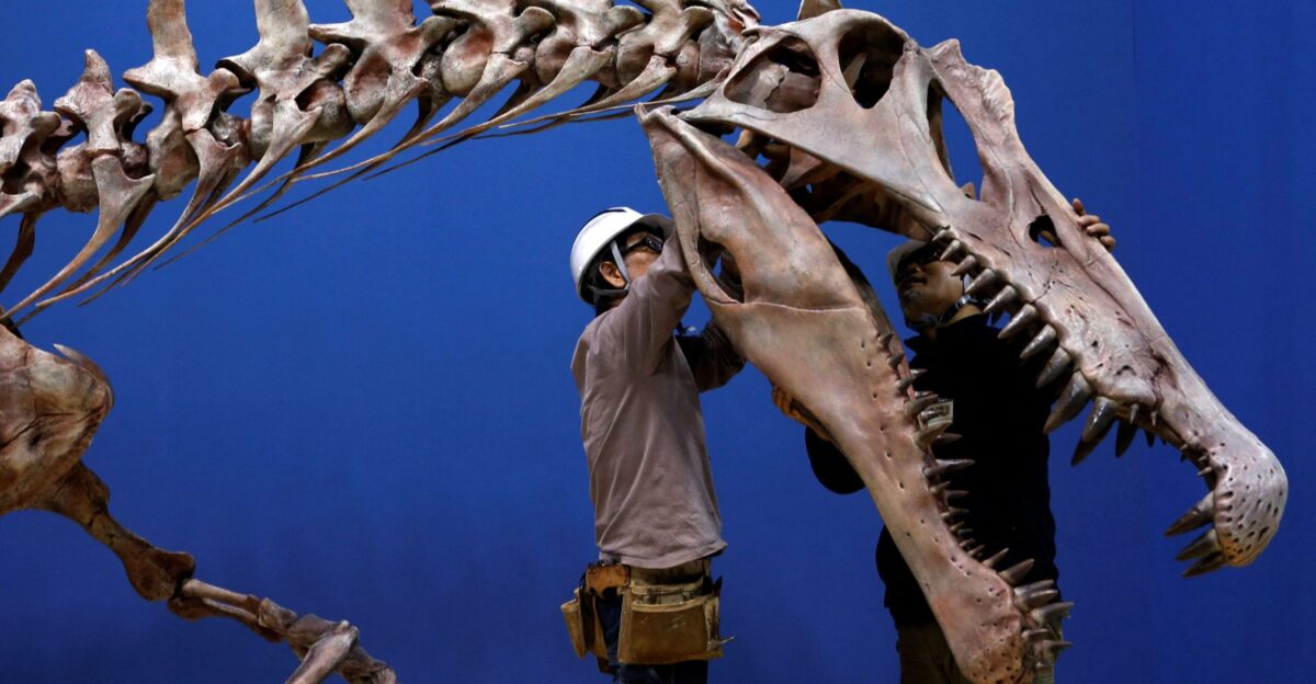 Bone density study confirms watery lifestyle of ominous